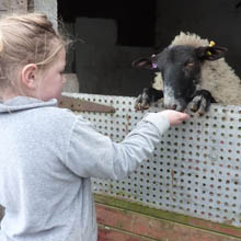 Fishers Mobile Farm