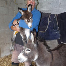 Fishers Mobile Farm - Blossom & Berry