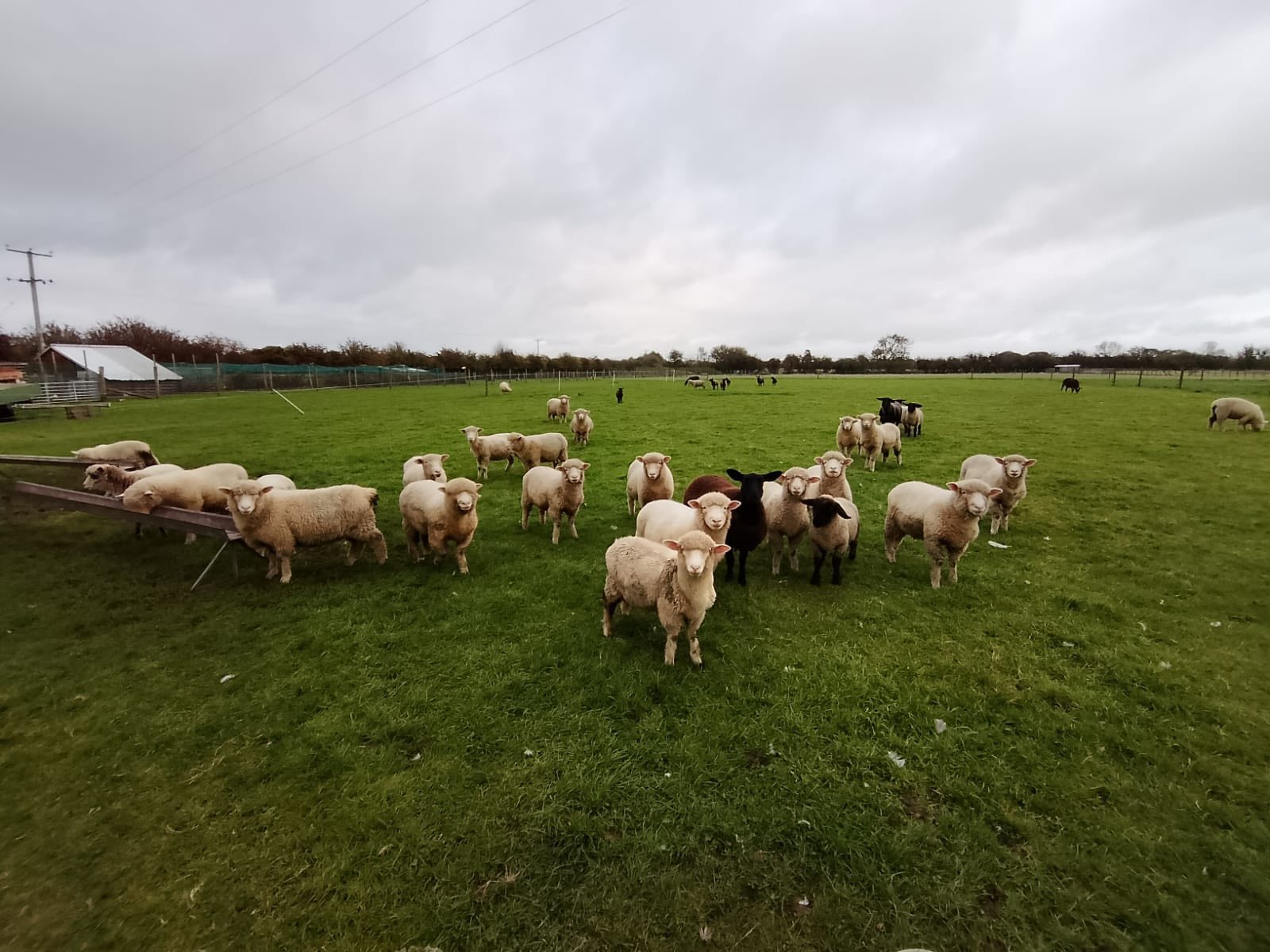 ./565680746_1277496501087016_3458793013248789542_n_1767980313985