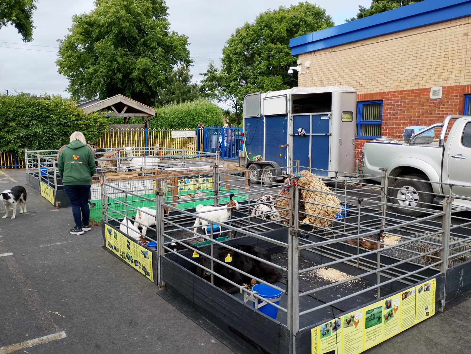 ./495206769_1156639963172671_8949969729006020363_n_1768510032356