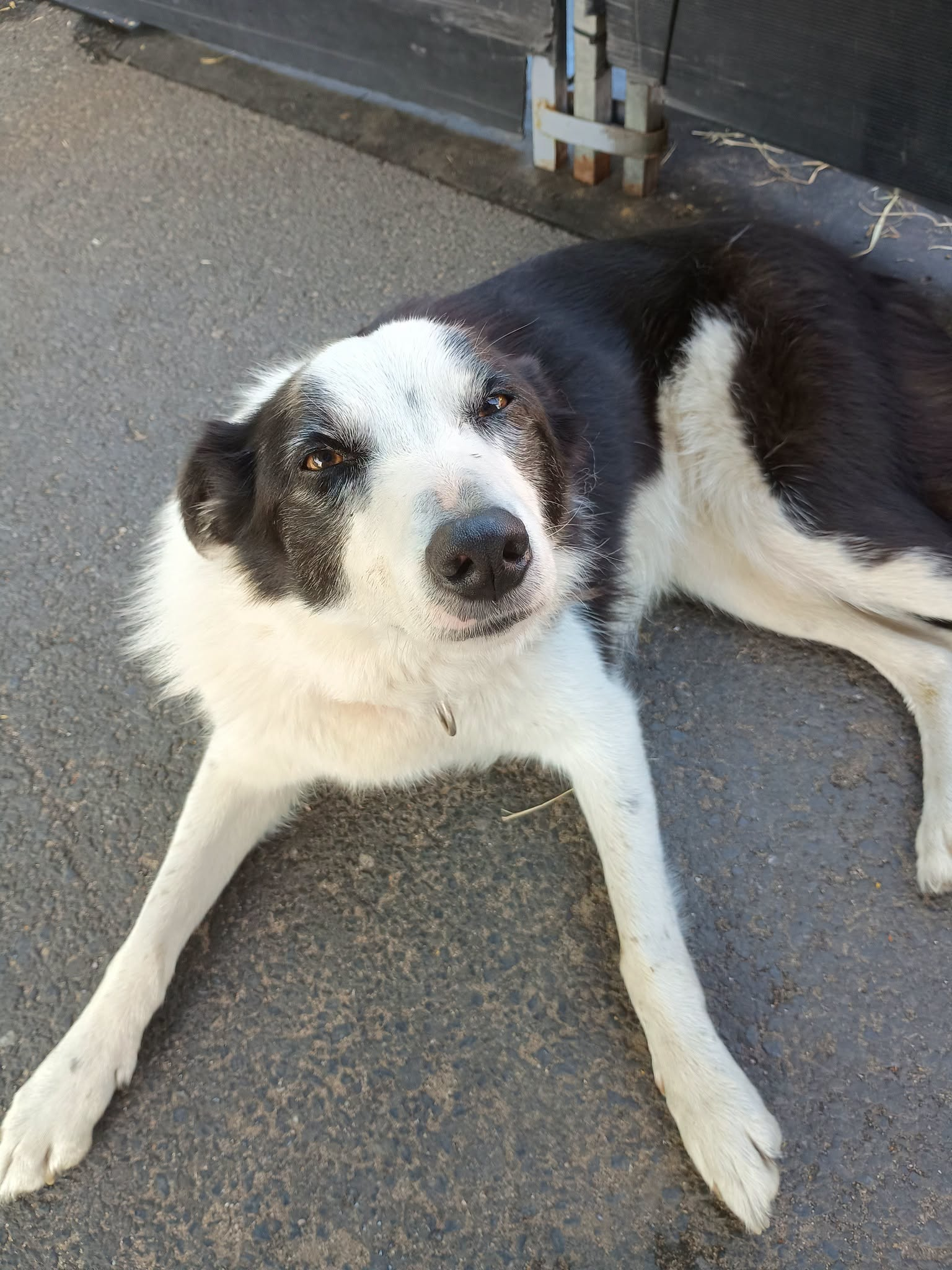 ./image_1788292270995